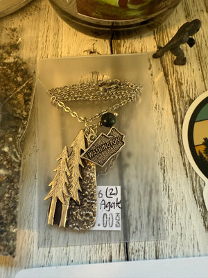 PNW Souvenir Treasure Box 2501