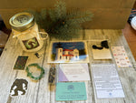 PNW Souvenir Big Foot Treasure Box 2506