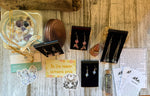 Mermaid Collect Treasure Box 2533