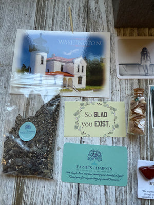 PNW Souvenir Treasure Box Collection 2563